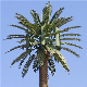 Customized Camouflaged Telecommunication Cell Phone Artificial Outdoor Palm Trees Tower