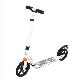 205mm Luxury Full Aluminum Scooter (GSS-A2-004X)