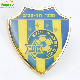  Promotional Attractive Shield Shape Lapel Customized Badge Souvenir Brooch Pin