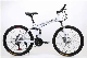  Folding Mountain Bike Variable Speed Shock-Absorbing Bike Teen Adult