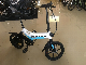 16inch Ebike 36V 5.2A 3 Speed Private Mould manufacturer