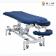 Luxury Adjustable Electric SPA Bed Massage Physiotherapy Bed Treatment Table