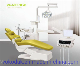  High Quality Multifunctional with LED Light Luxury Dental Chair