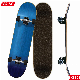  31 PRO Complete Skateboard 7 Layer Maple Wood Skateboard Deck for Extreme Sports and Outdoors