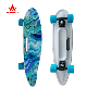  Teenagers Beginners Portable Plastic Skateboard with ABEC-7 Steel Bearing