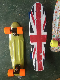 Fish Skateboard with Color Box Packing (ET-PSY001)