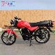 2000W Electric Scooter Conventional E-Bike with Ternary Lithium Battery Gecko Scooty