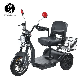  Adult 600W 48V20A Lithium Battery Heavy Loading Recreational Electric Trike Scooter