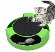 Cat Toys Interactive with Running Mice and Scratching Pad Durable Safe Kitten Cat Game Exercise No Battery Needed Pet Toy