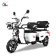  Al-A9 Cargo and Passenger Electric Tricycle Adult Tricycle Electric Power