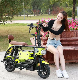  2022 New Design Lightest 48V 350W Folding Electric Bike Scooter with CE Certificatio