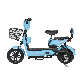 Wuxi Elcrtric Factory 48V 20ah Steel Fram Brushless Motor Mountain Electric Bike Mobility Scooter