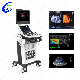 Trolley Ecografo 3D 4D Color Doppler Ultrasound Machine, Digital Cardiac Ultrasound Scanner