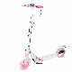  China Wholesale Superior Quality Best Kick Scooter Adult Hand Brakes Scooter