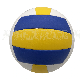 Inflatable Textured PVC Stitched Volleyball manufacturer