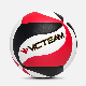 Professional Design Your Own Training Volleyball