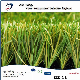 5200 Circles Wear Resistance Football Artificial Synthetic Grass manufacturer