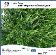 Football/Rugby Grass Infilling TPE Rubber Granules manufacturer
