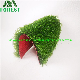  China 38mm Red Backing Landscape Fake Artificial Decorative Garden Synthetic Turf