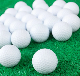  Customized Printing Logo Promotion Gift Training/Tournament 2/3/4 Layer Golf Balls