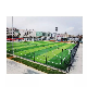Hot Sale Sports Cage Soccer Training Field Football Pitch/High Quality Sports Field Fence manufacturer