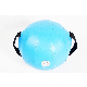 New Design Adjustable Water Round Water Bag Fitness Weight Lifting Aqua Ball Fitness Power Training Aqua Heavy Bag