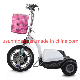 Folding Electirc Scooter Folding Electric Scooter with 3 Wheels