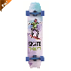 Skateboard Complete Surfboard Surf Dancing Longboard Deck Long Board Decks manufacturer