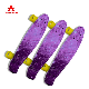  High Quality Adult Skateboard Wood Type Fish Skateboard Surface Custom for Outdoor Sport