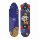 Promotion Wood Skateboard with Cheap Price and Good Quality. manufacturer