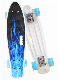 Complete Highly Flexible Plastic Cruiser Board Skateboards