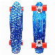 Complete 22 Inch Cruiser Highly Flexible Mini Retro Plastic Skateboard