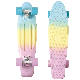 Highly Flexible Plastic Cruiser Board Mini 22 Inch Skateboards