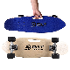 New Design 27 Inch Fish Style Skateboard for Outdoor manufacturer