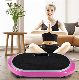 Newly Two Motors Ultrathin Horse Riding Vibration Plate Massage Machine