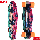 22" Skateboard Plastic Skate Board with LED Light up Wheels