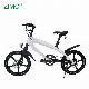 36V 240W Sport Pedal Assist E Bike Electric Bike with Lithium Battery manufacturer