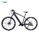 2023 Wholesale Adult Electric Mountain Bike for sale manufacturer