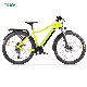 2023 36V 250W Pedal Assist Popular Electric Mountain Bike manufacturer