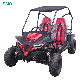 Cheap Gasoline 4 Stroke Racing Dune Buggy Off Road Go Kart Adults manufacturer