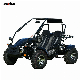 Popular Racing Cars Go Karts 4-Wheels Dune Go-Kart Buggy manufacturer