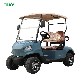 2023 5KW 4X2 2 Seat Cheap Off-Road Golf Cart Electric Golf Car manufacturer