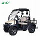 2023 EEC Approved 5kw Cheap China Electric Golf Cart manufacturer