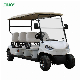 2023 Wholesale Electric Off Road Handicap Golf Cart for adult manufacturer