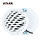 Factory OEM 8 Ohm 20W 5 Inch Active Ceiling Speaker