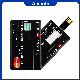 Alimoto Plastic Thin Name Card USB Flash Drive USB 2.0 8GB manufacturer