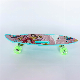 23" Newest Portable Skateboard with Heat Print