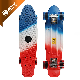 22" Mini Plastic Penny Board with CE Certificated Skateboard