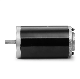  High Quality 12V 24V 36V 48V Permanent Magnet Customizable Brushed DC Motor for Electric Car