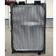 OEM 81061016407 81061016423 81061016438 81061019438 62870 Truck Cooling System Parts Water Radiator for Man Truck manufacturer